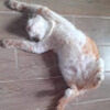 myatun